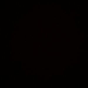 Meet your Posher, Loyalty